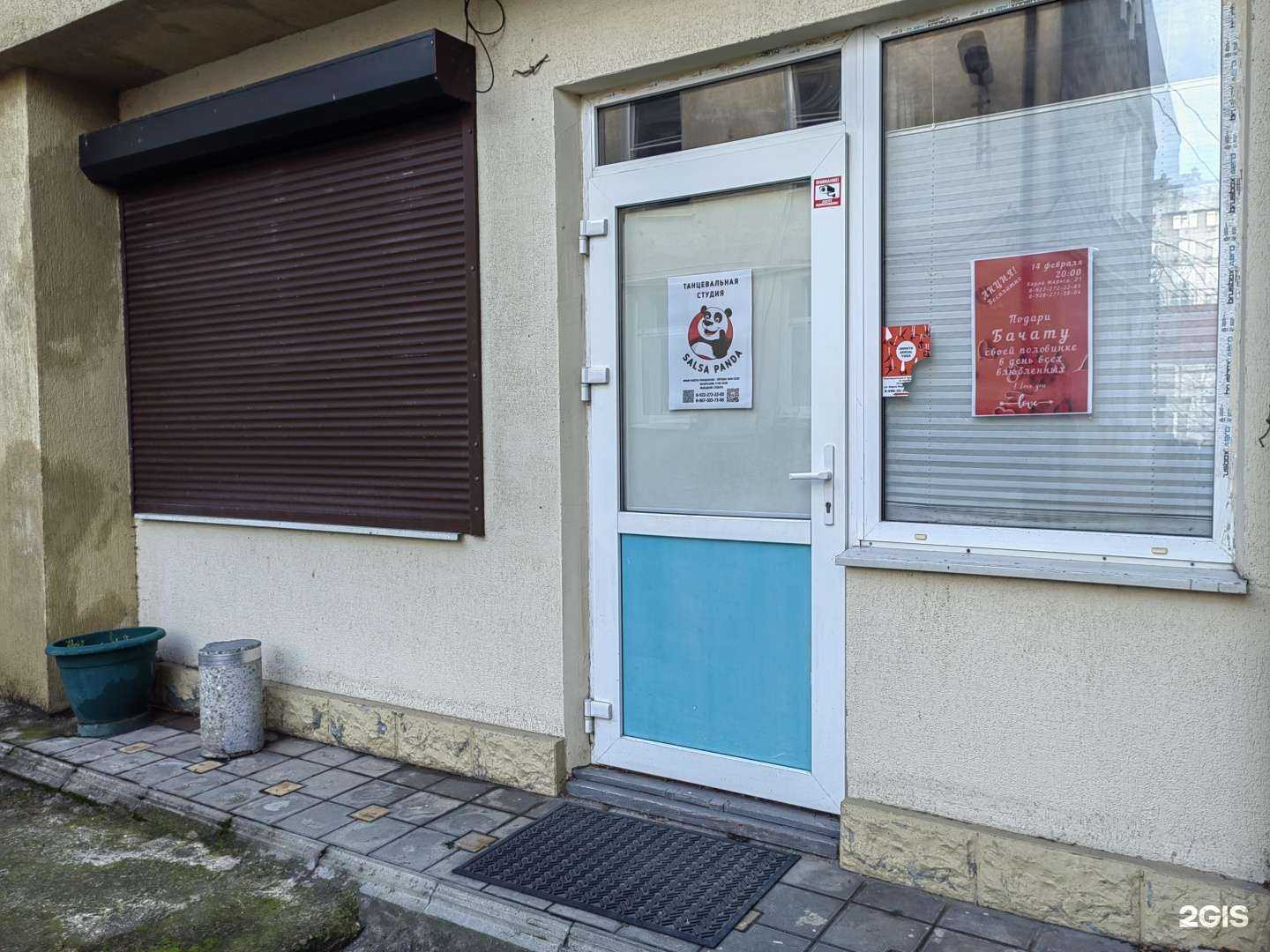 Отзывы на компанию Salsa Panda в г. Новороссийск c фото