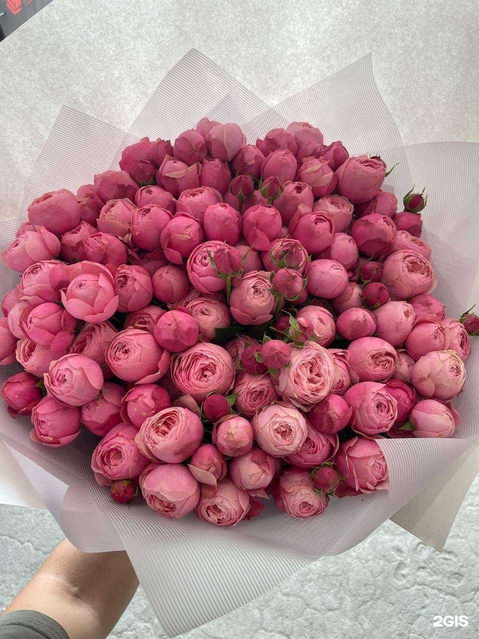 Отзывы на компанию Elite Rose в Новосибирске c фото