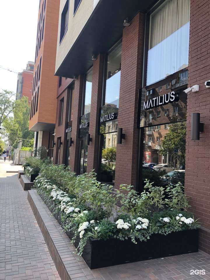 Отзывы на компанию Matilius в Ростове-на-Дону c фото