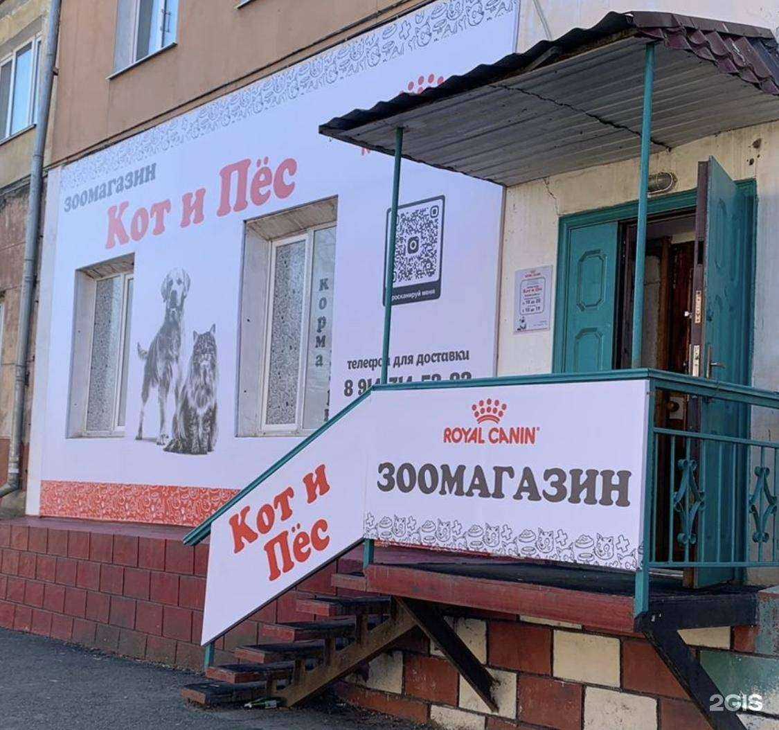 Отзывы на компанию Кот и пёс в г. Находка c фото