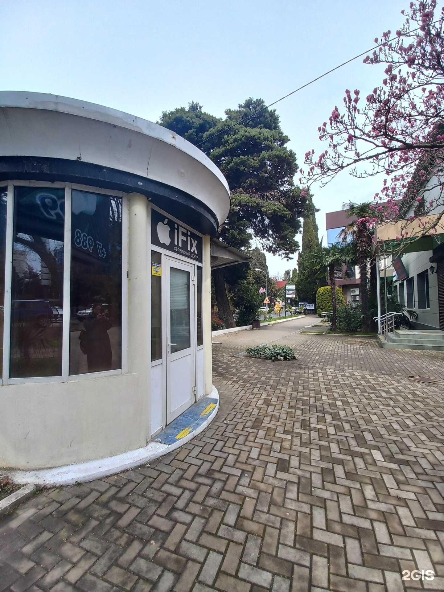 Отзывы на компанию Ifix в г. Сочи c фото