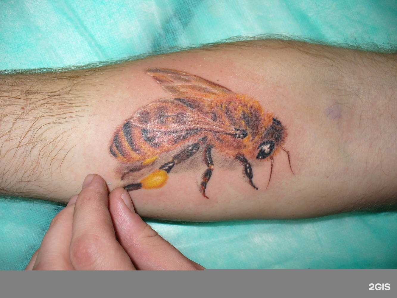 Отзывы на компанию Джоли в г. Пенза c фото