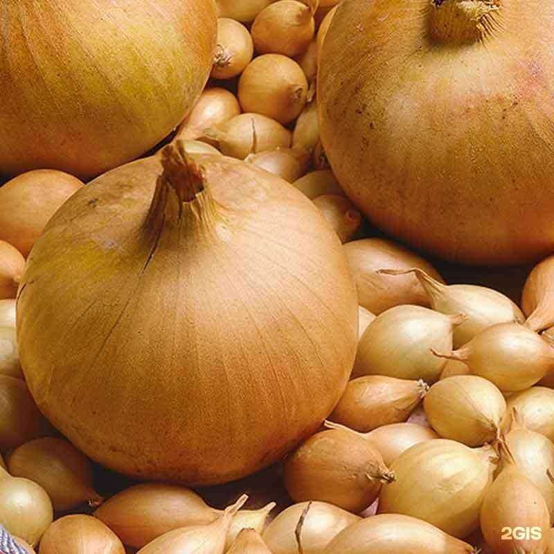 Отзывы на компанию Зелёный сад в Екатеринбурге c фото