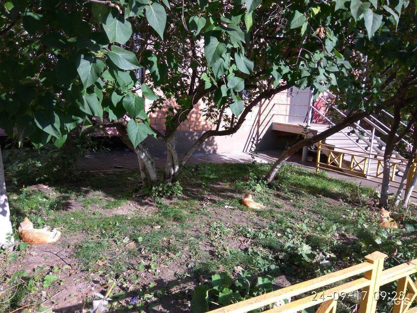 Отзывы на компанию Amoreo в Нижнем Новгороде c фото - фотография 2 из 2