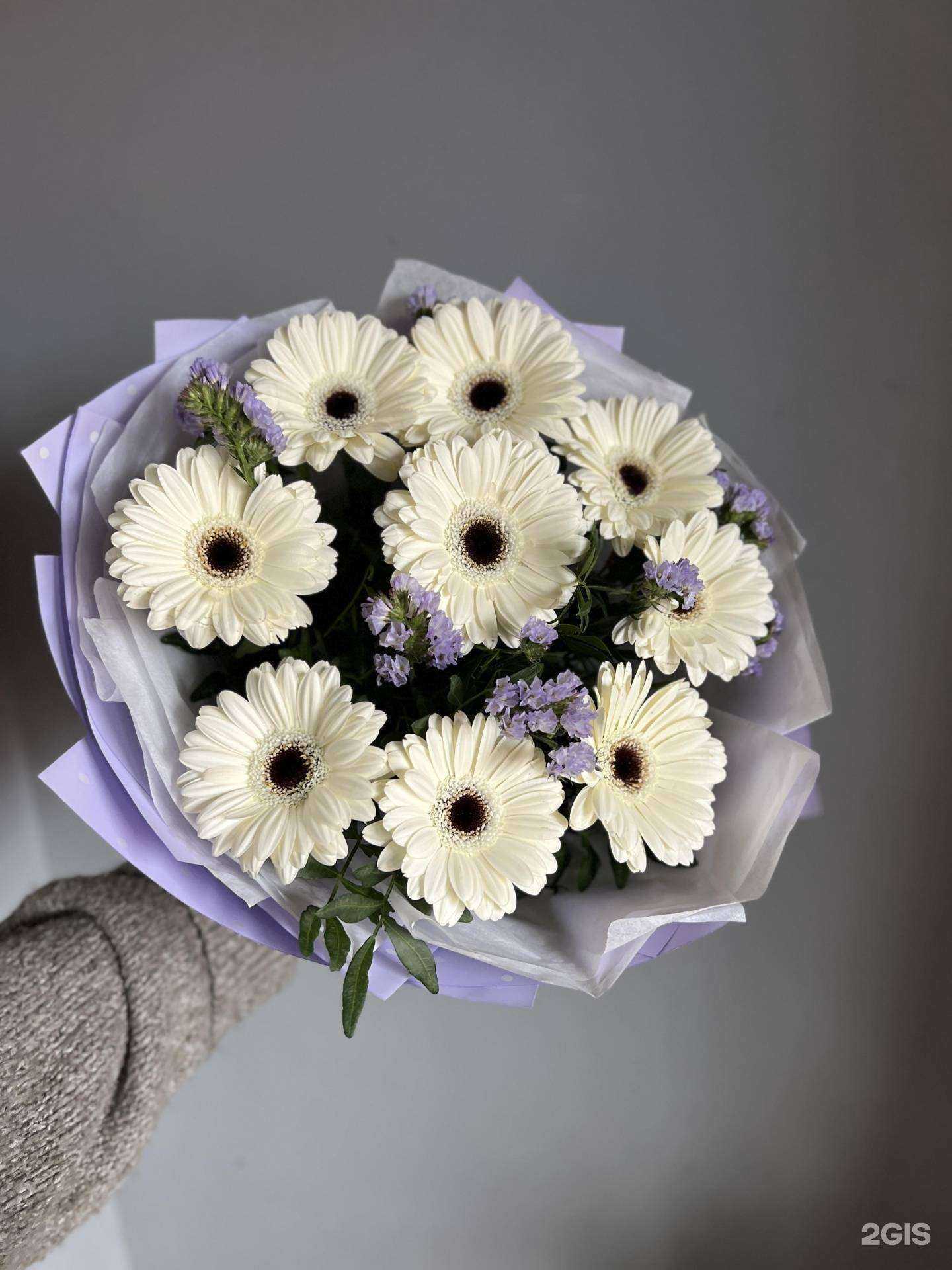 Отзывы на компанию Cvetkov в Красноярске c фото