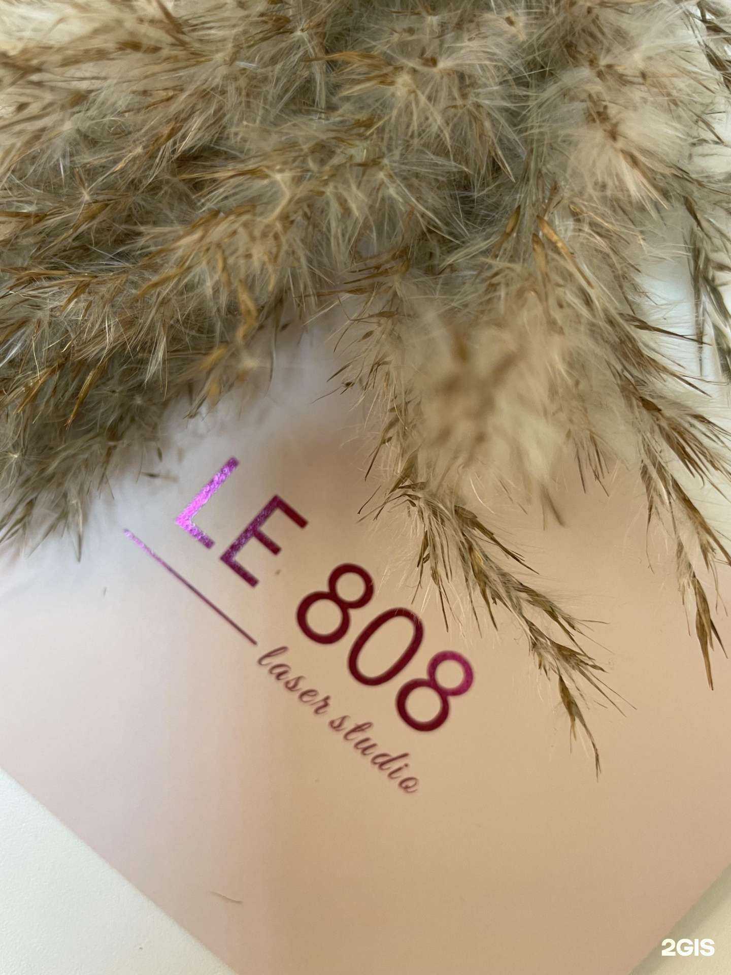 Отзывы на компанию LE 808 в г. Челябинск c фото