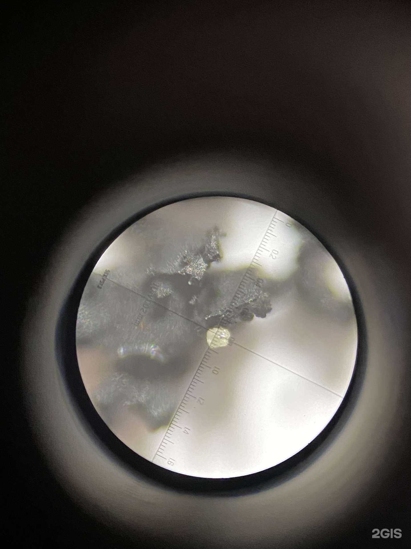 Отзывы на компанию Утро в Барнауле c фото