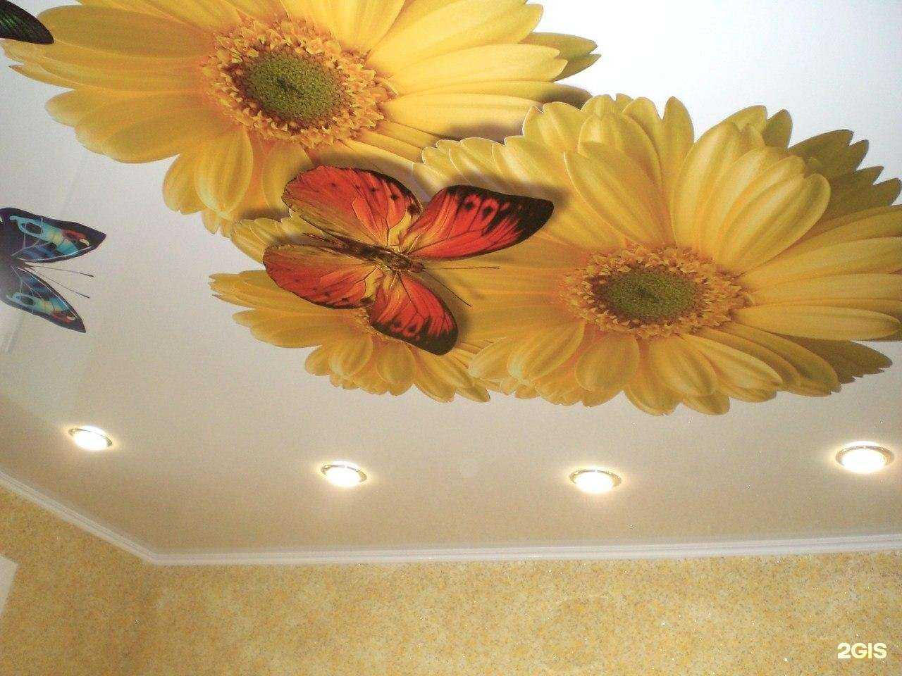 Отзывы на компанию Флагман в Бузулуке c фото