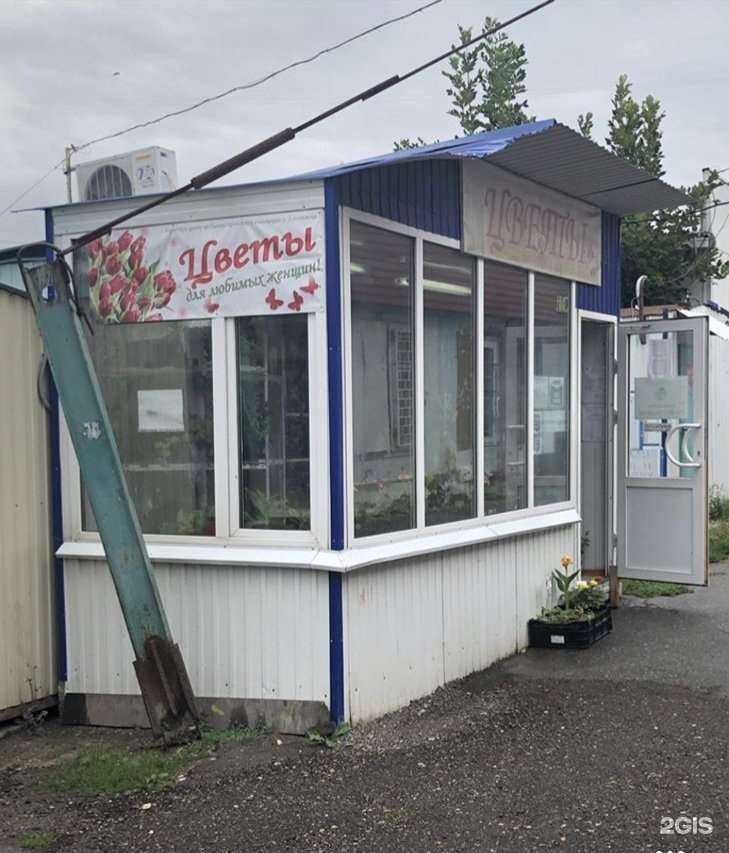 Отзывы на компанию Городской центр по благоустройству и озеленению г. Ульяновска в г. Ульяновск c фото