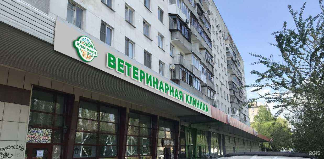 Отзывы на компанию ЖИВАЯ ПЛАНЕТА в Нижнем Новгороде c фото