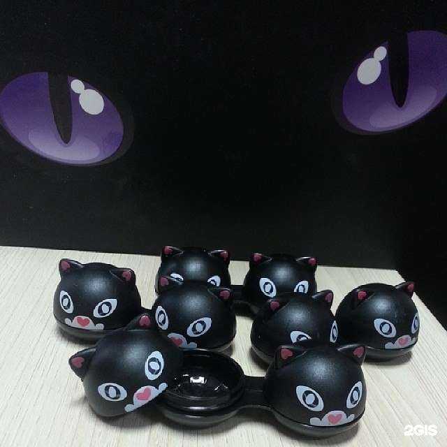 Отзывы на компанию Дейси оптик в г. Курган c фото