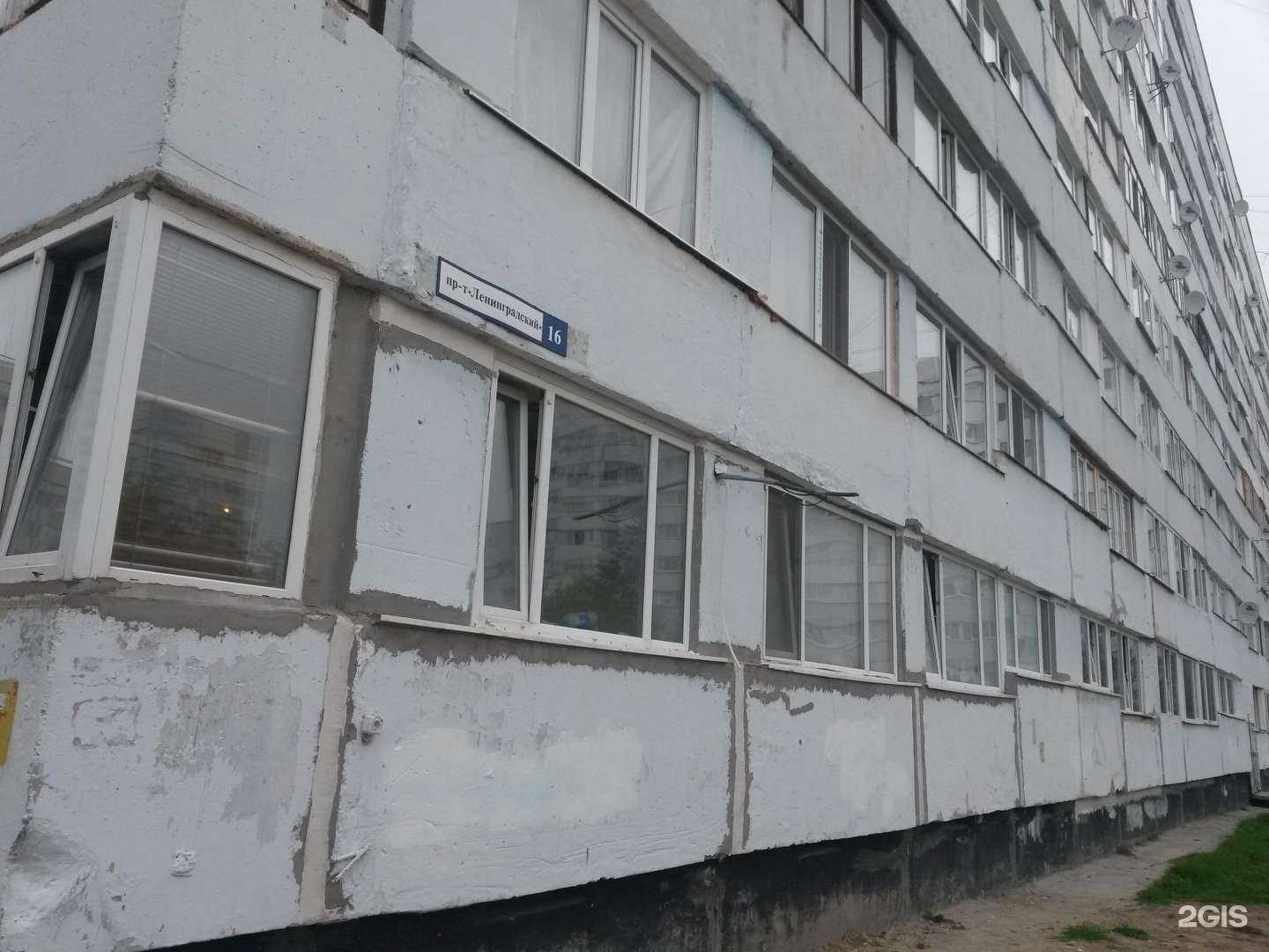 Отзывы на компанию Мягкие лапки в Новом Уренгое c фото - фотография 2 из 2