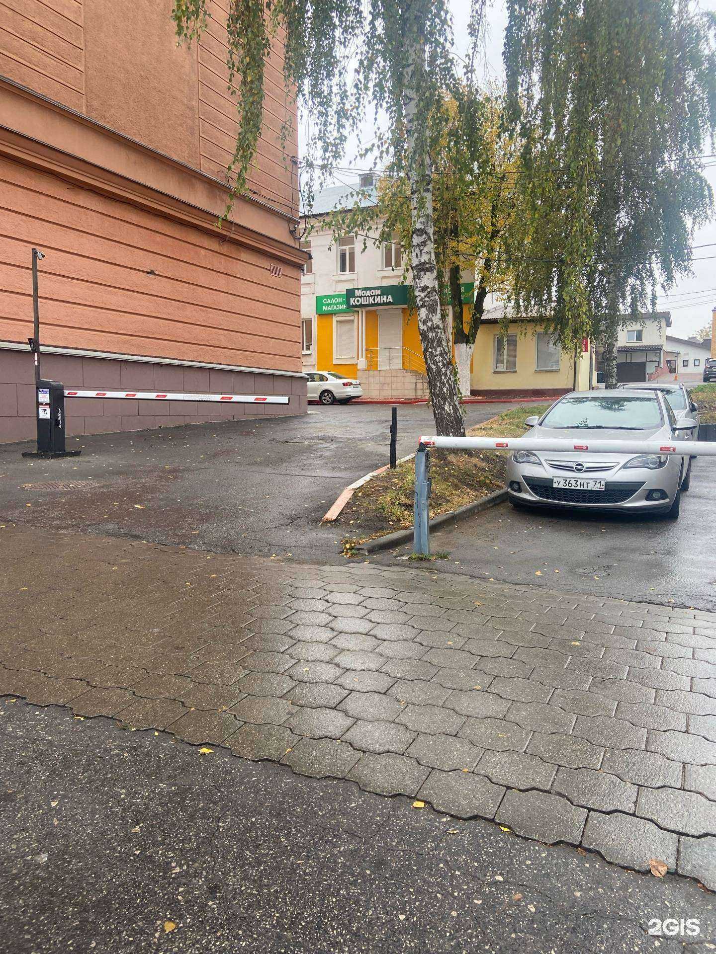 Отзывы на компанию Мадам Кошкина в Туле c фото - фотография 2 из 2