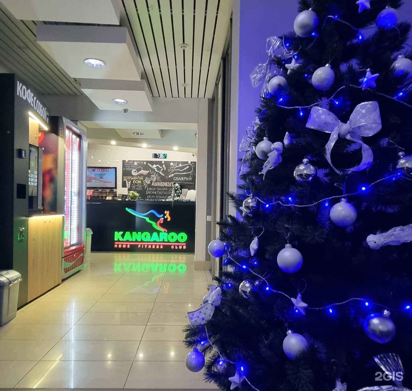 Отзывы на компанию Kangaroo в Самаре c фото