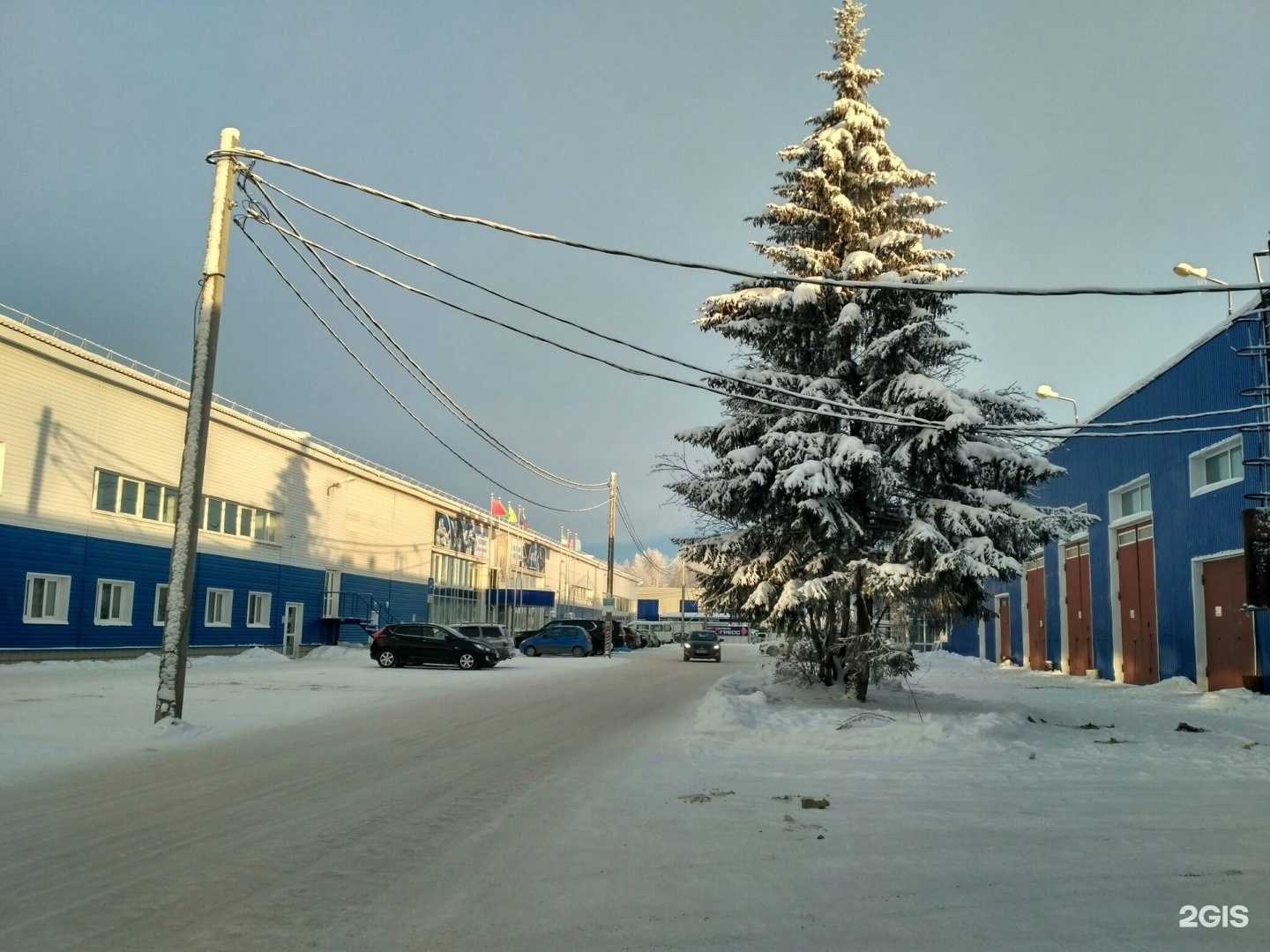 Отзывы на компанию СШОР №2 в Сыктывкаре c фото