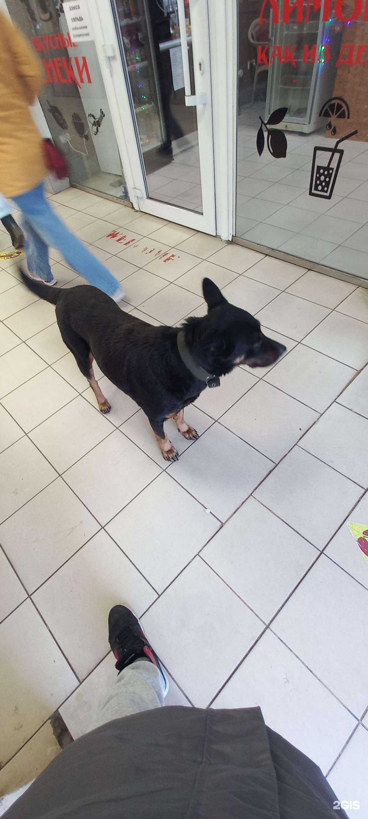 Отзывы на компанию Магазин разливного пива в Краснодаре c фото