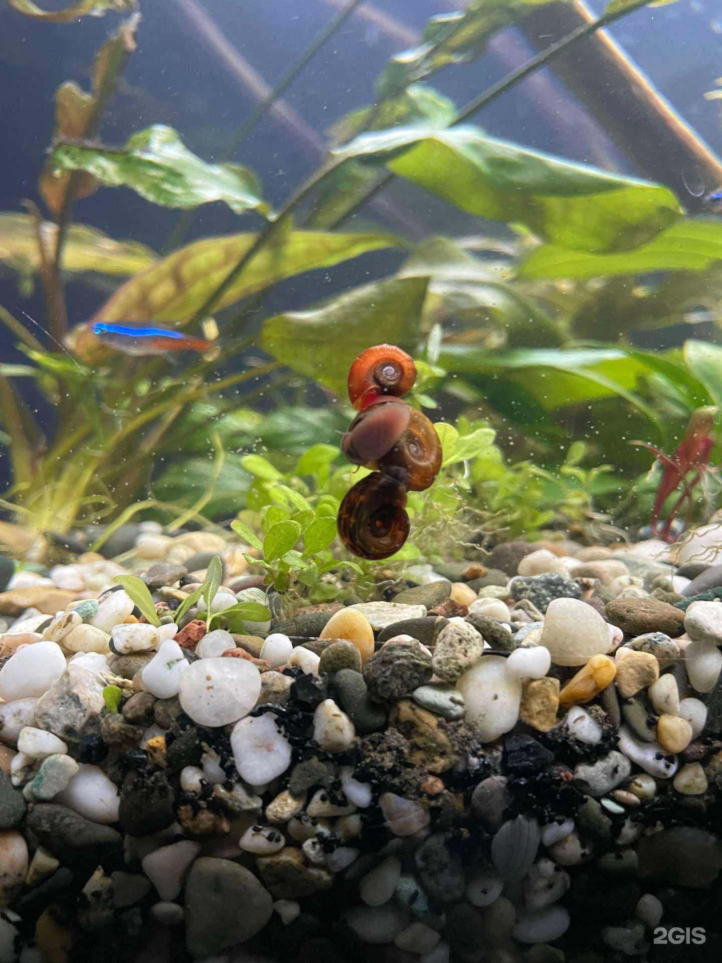 Отзывы на компанию Суматра в г. Уфа c фото