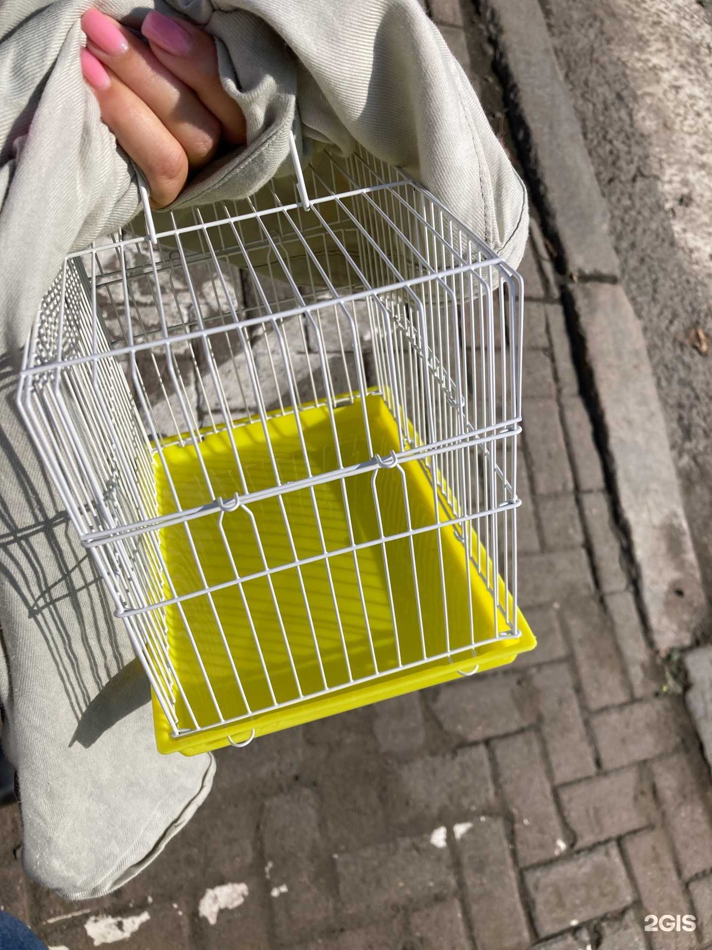 Отзывы на компанию Энималс в Кемерове c фото