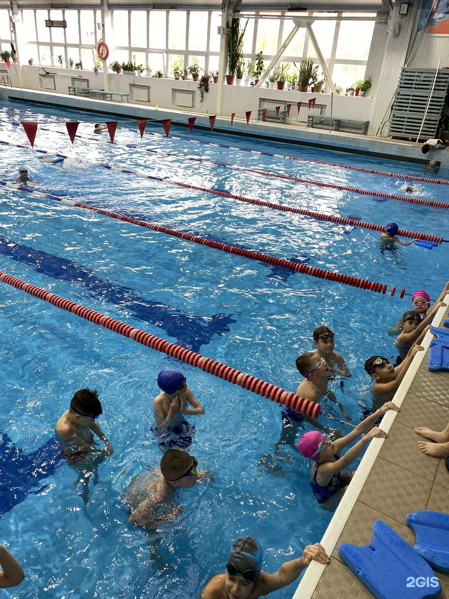 Отзывы на компанию Федерация плавания г. Сургут в г. Сургут c фото