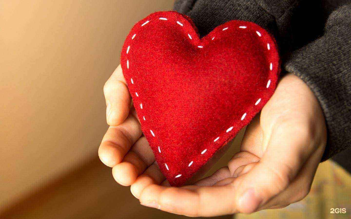 Отзывы на компанию СШОР Юный динамовец в Иркутске c фото