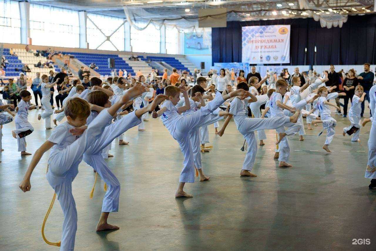 Отзывы на компанию Федерация Капоэйра Самарской области в г. Тольятти c фото