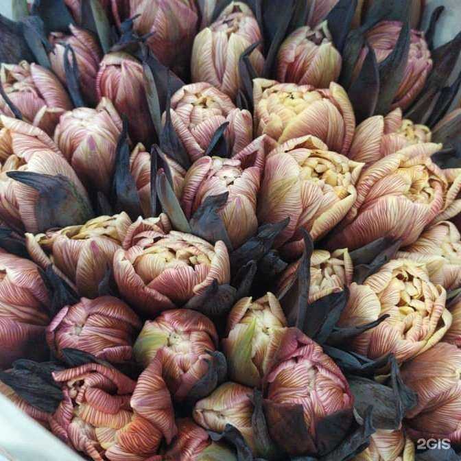 Отзывы на компанию Stella._.Flowers в Химках c фото