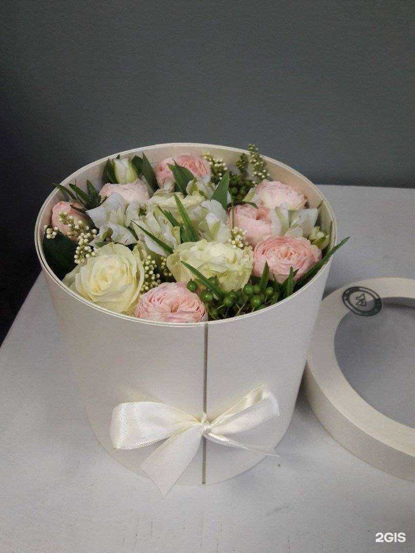 Отзывы на компанию Il pellicano в Пскове c фото