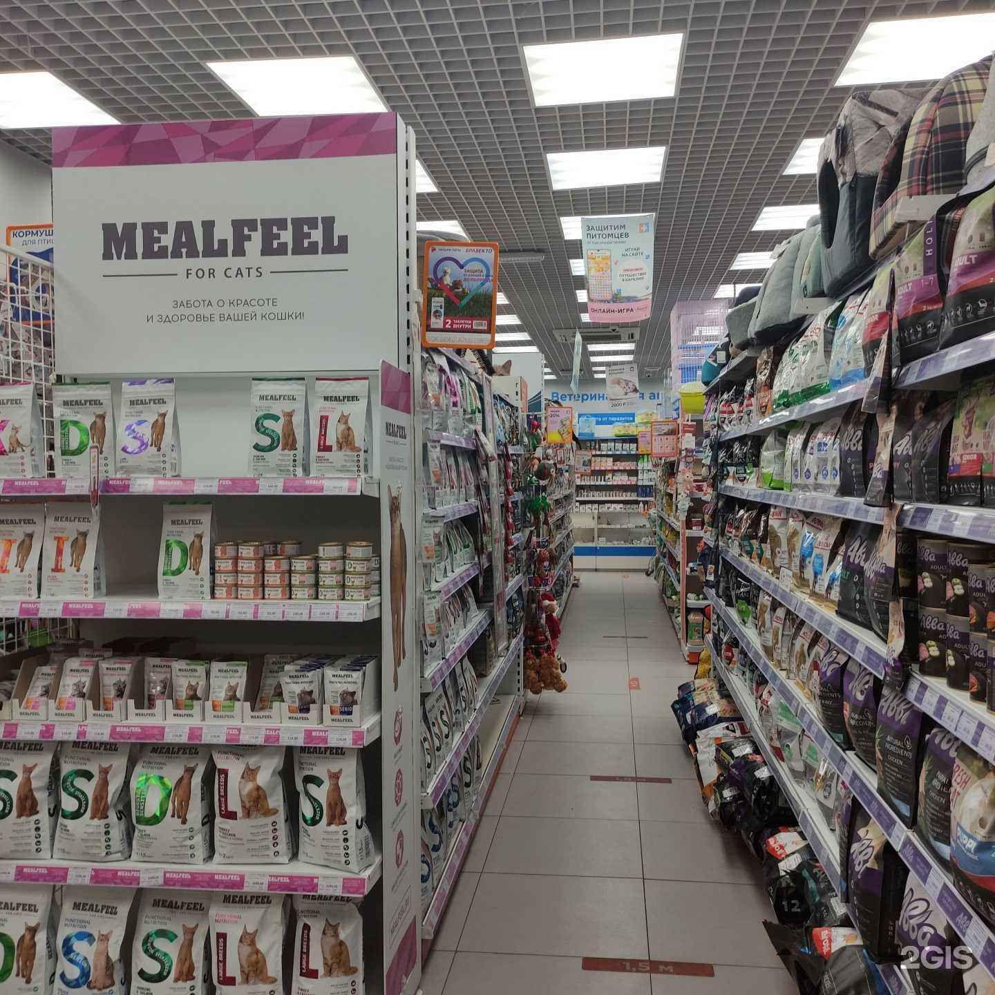 Отзывы на компанию Четыре лапы в Серпухове c фото