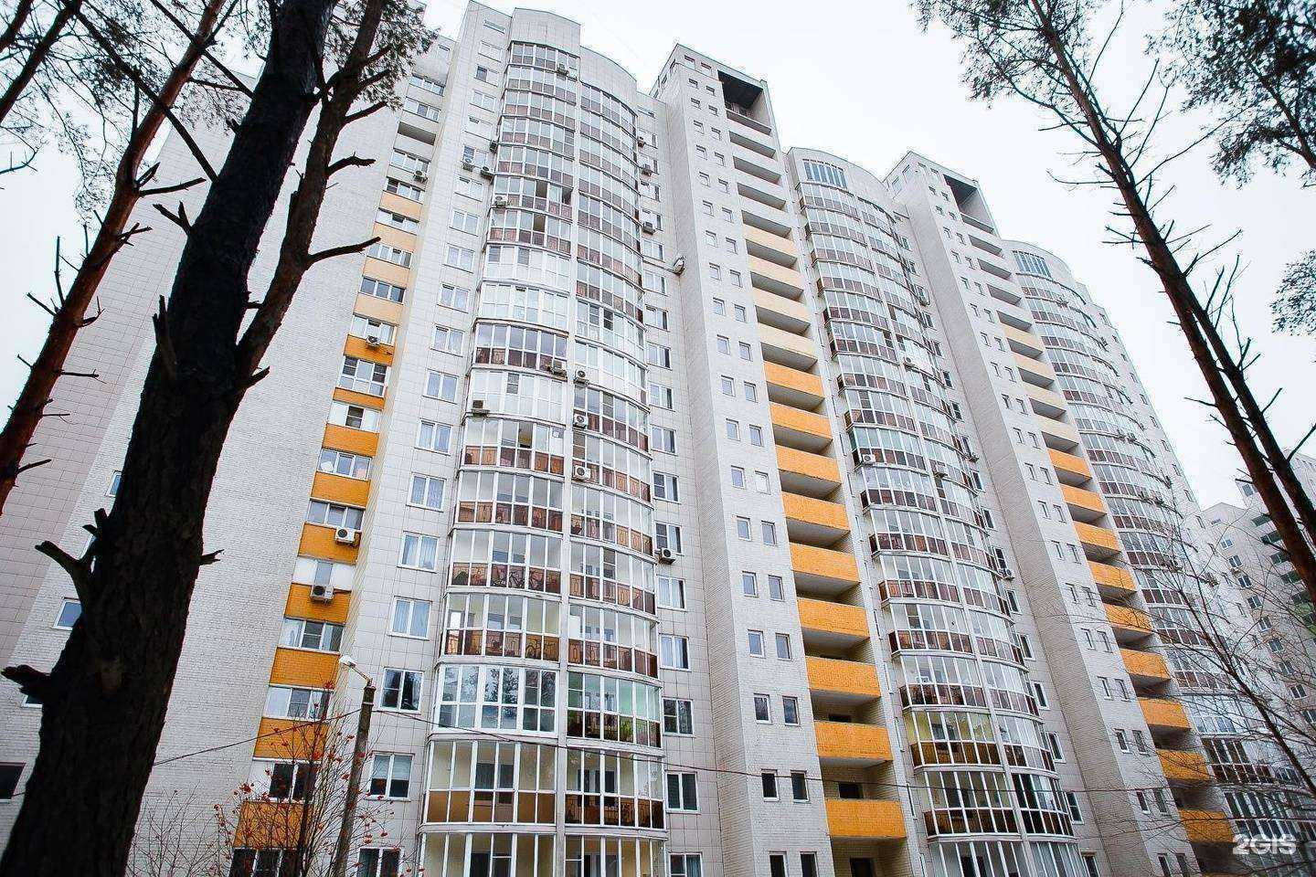 Отзывы на компанию Ант-хилл в Воронеже c фото - фотография 2 из 2