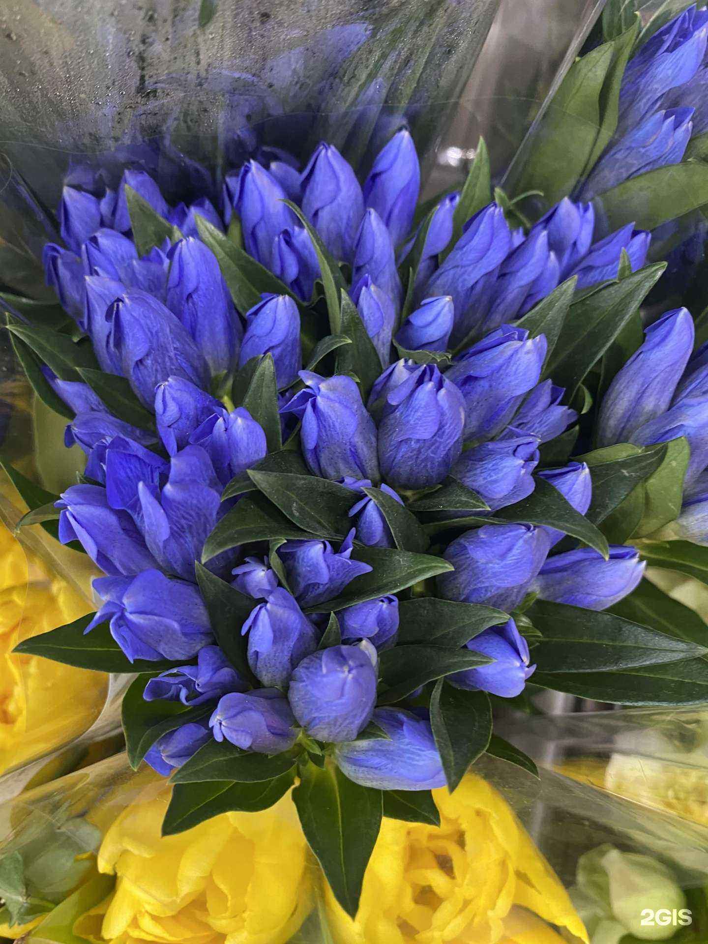 Отзывы на компанию Светик-Семицветик в Краснодаре c фото