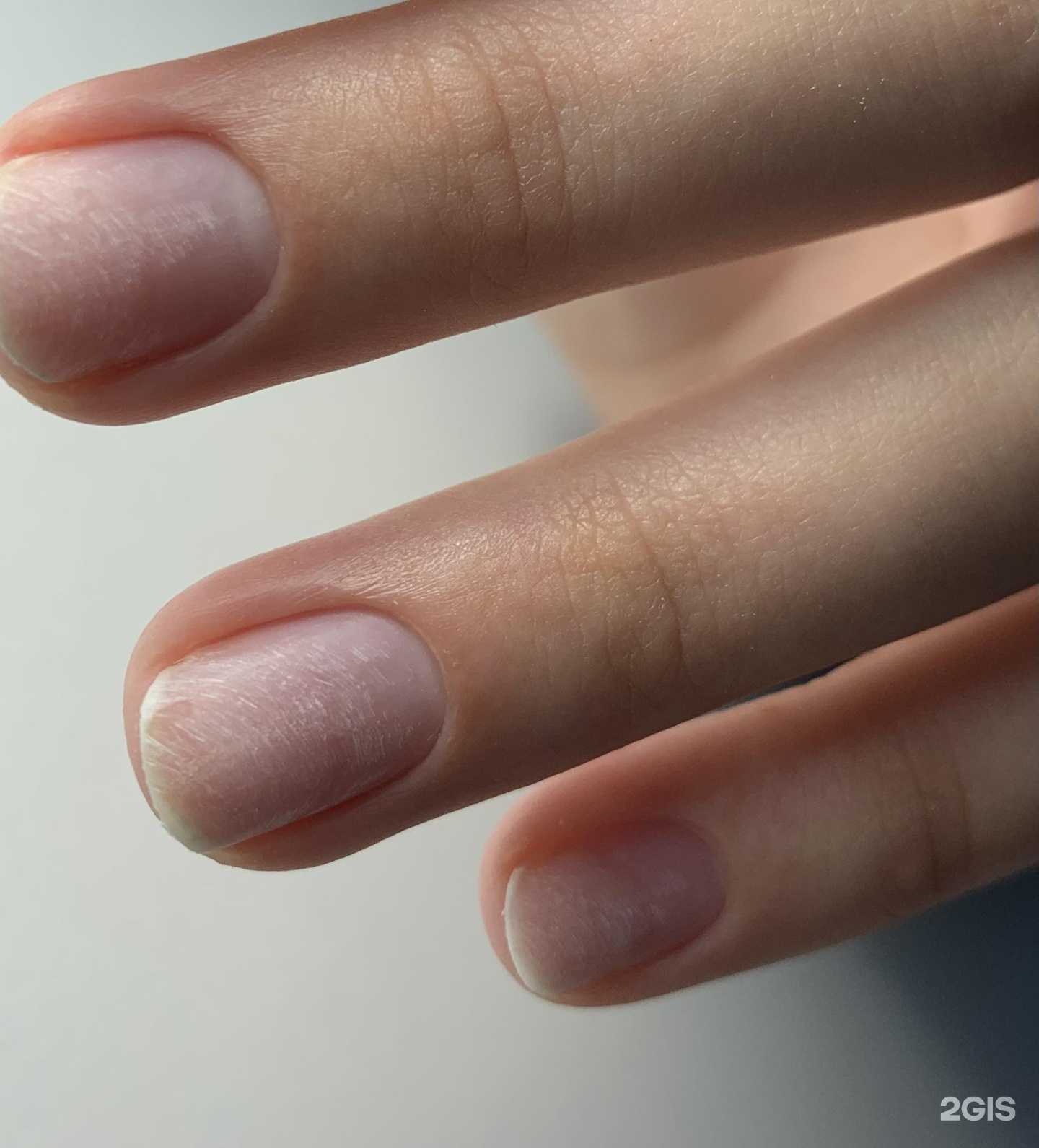 Отзывы на компанию Studio by Prikhodko в Новосибирске c фото