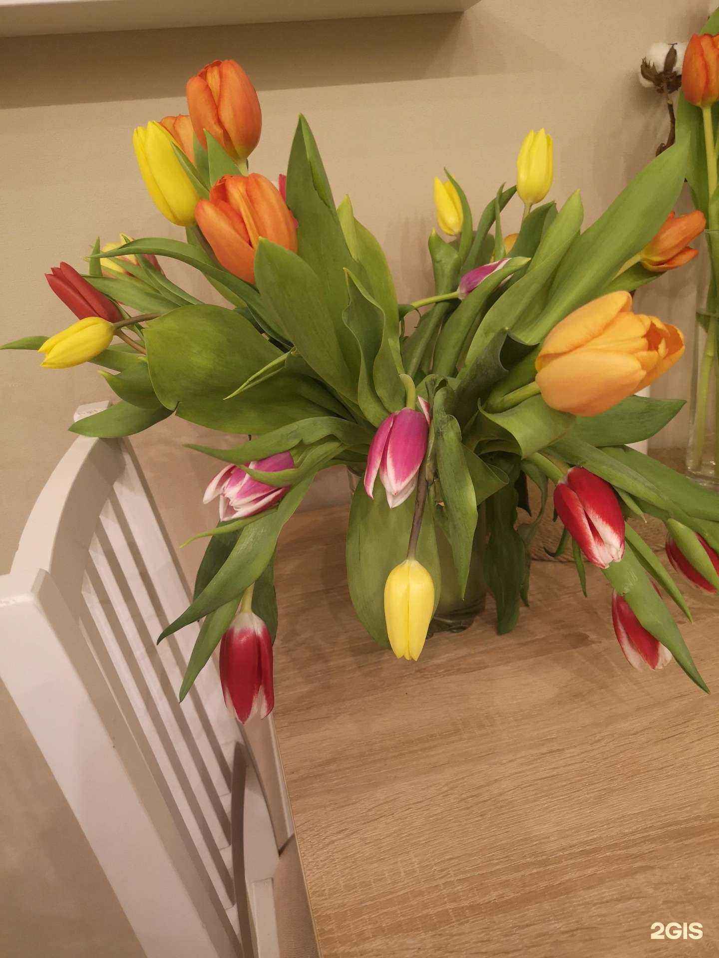 Отзывы на компанию Гелиантус в Калининграде c фото