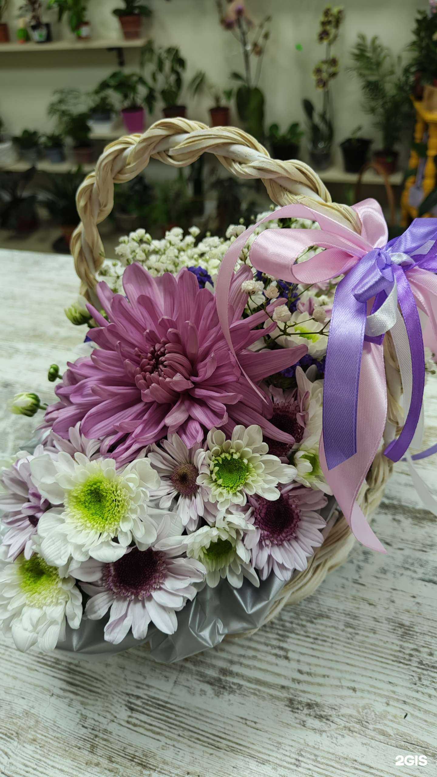 Отзывы на компанию ProЦветание в Краснодаре c фото