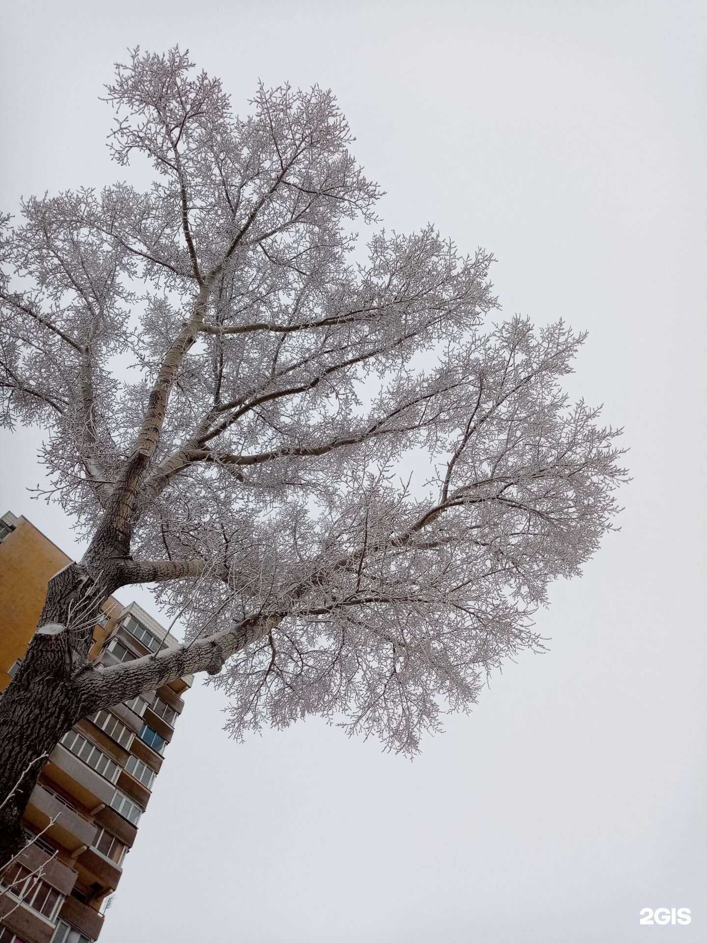Отзывы на компанию Глория в Новосибирске c фото - фотография 2 из 2