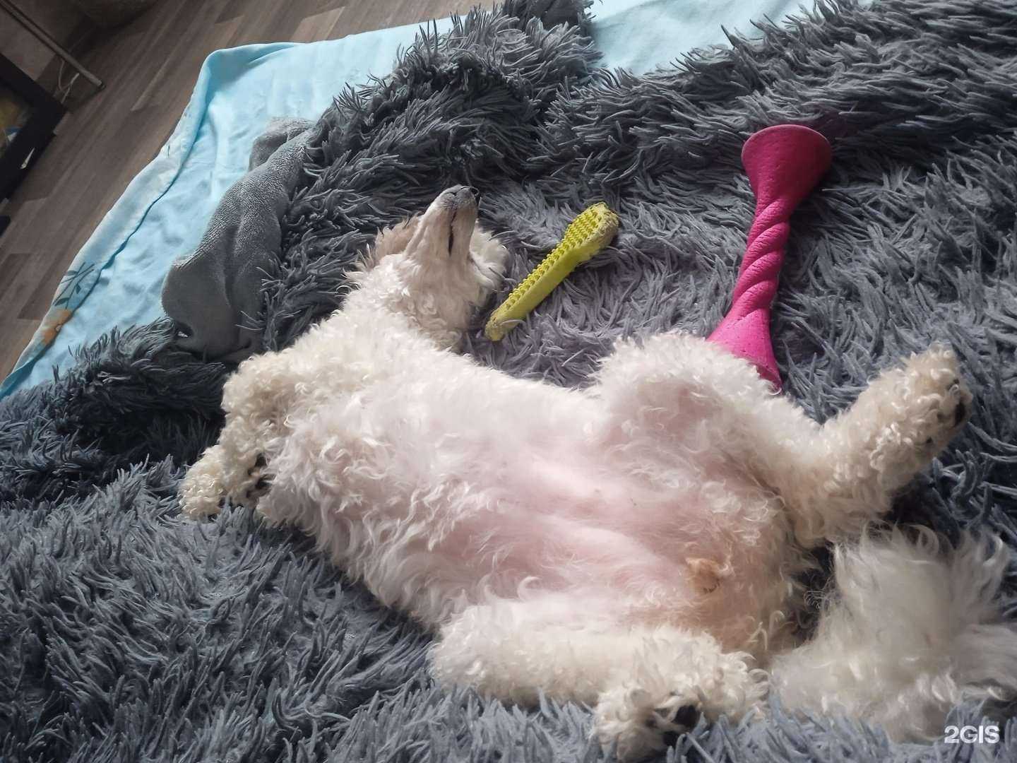 Отзывы на компанию Аргос в Новокузнецке c фото