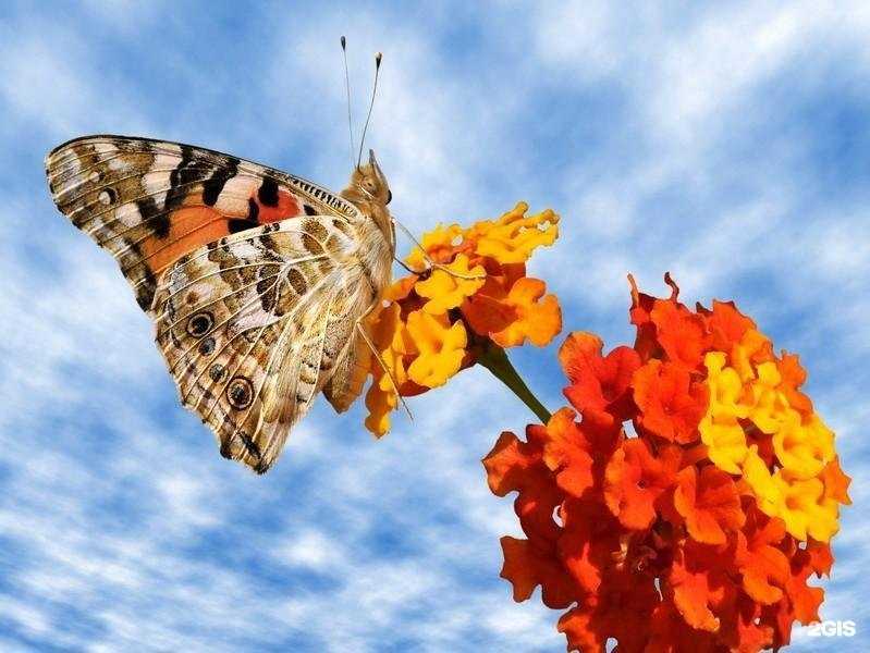 Отзывы на компанию Алгоритм в г. Нижний Новгород c фото