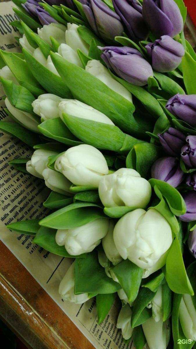 Отзывы на компанию FLOraОПТ в Новосибирске c фото