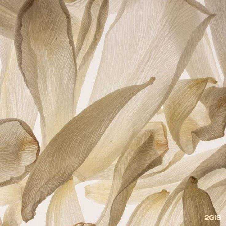 Отзывы на компанию Идеал в г. Химки c фото