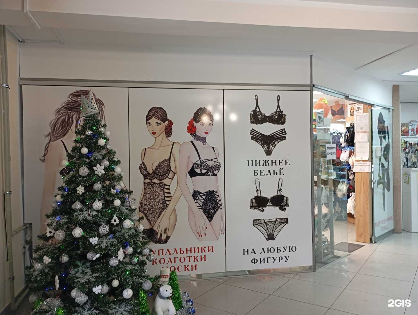 Отзывы на компанию Бюстель в Калининграде c фото