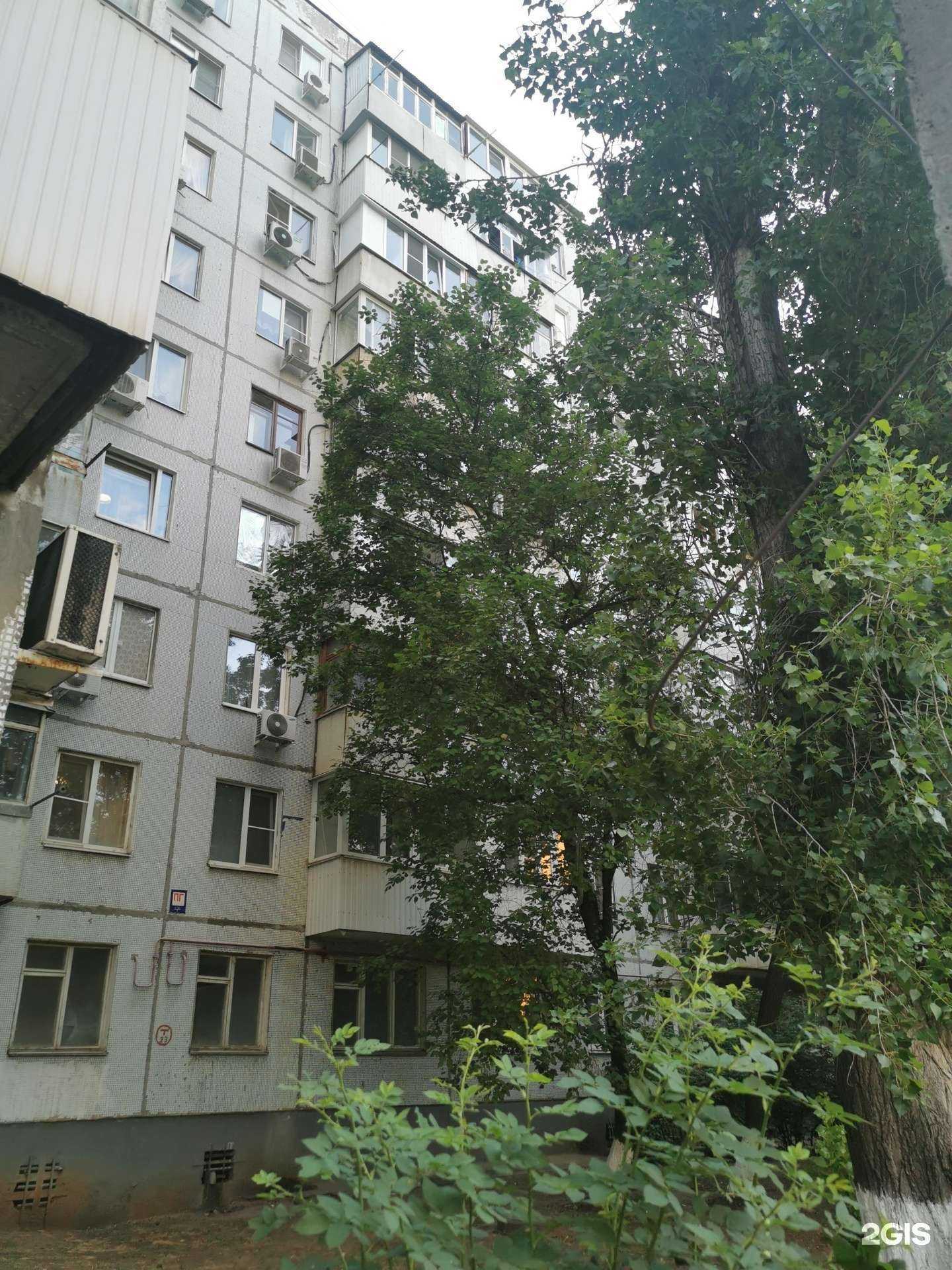 Отзывы на компанию Мирай в Ростове-на-Дону c фото - фотография 2 из 2