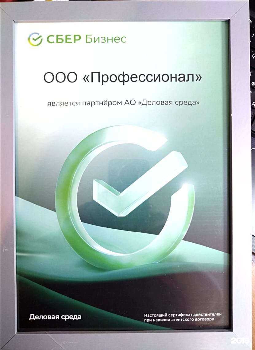 Отзывы на компанию Proffessional в Красноярске c фото