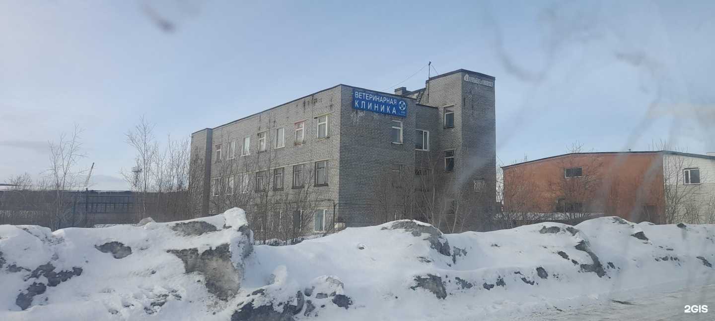 Отзывы на компанию Стандарт в Мурманске c фото - фотография 2 из 2