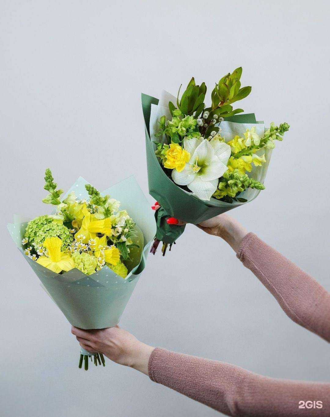 Отзывы на компанию Allium в Королёве c фото