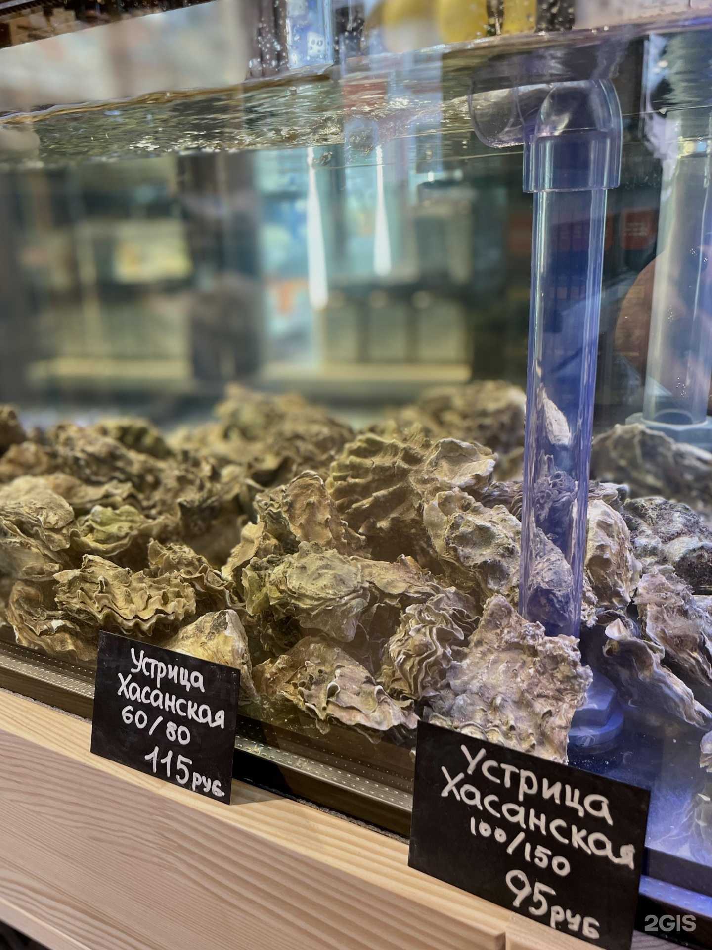 Отзывы на компанию Syto&piano в Костроме c фото