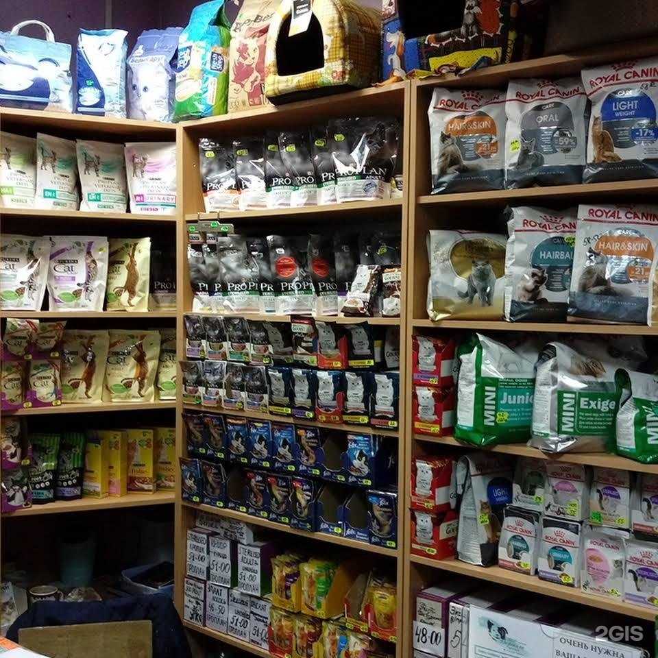 Отзывы на компанию Лапки-царапки 152 в Нижнем Новгороде c фото