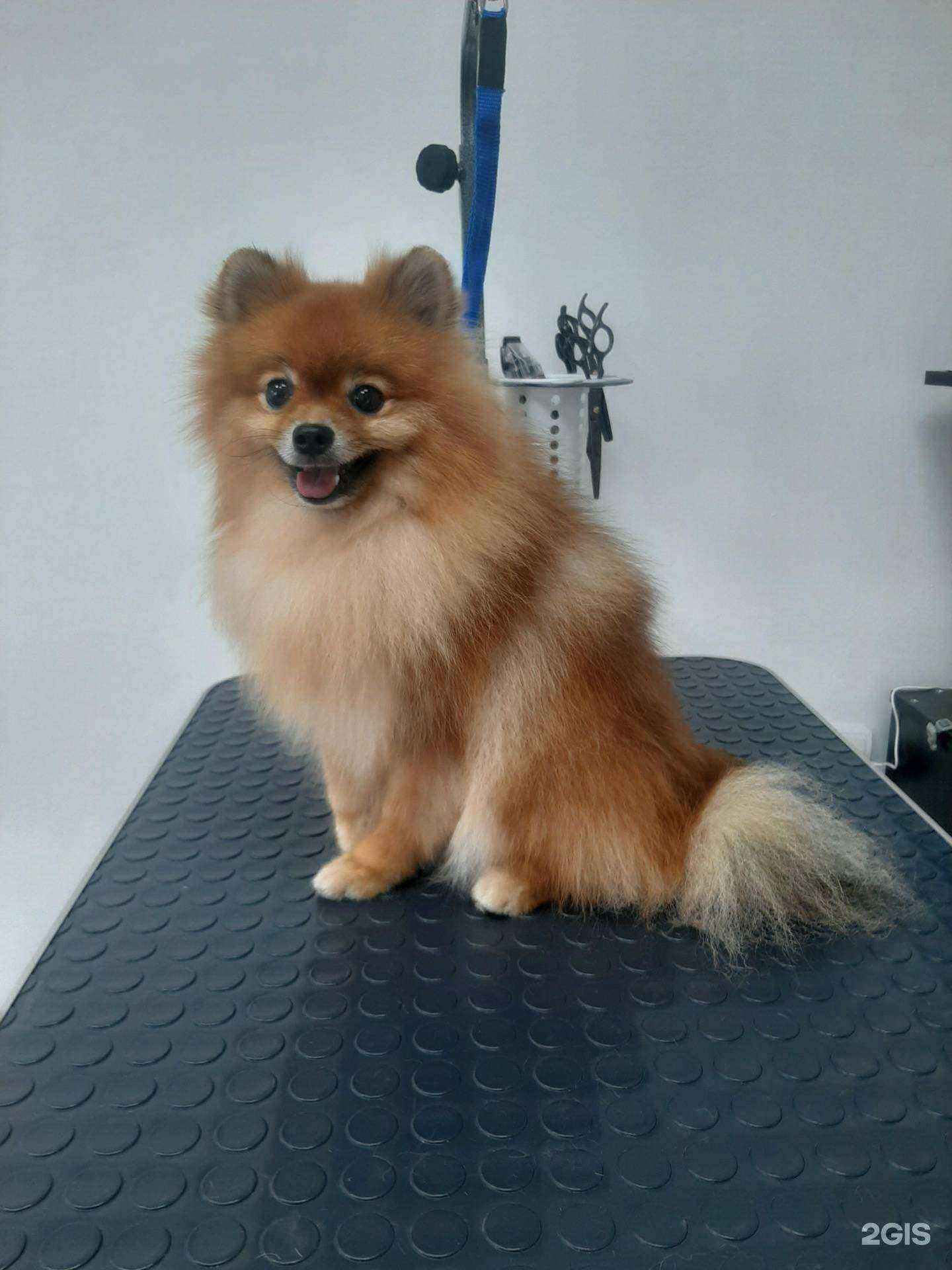 Отзывы на компанию Алагрум в г. Новочеркасск c фото