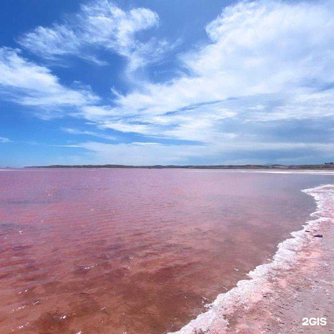 Отзывы на компанию Pegas Touristik в Нижнем Новгороде c фото