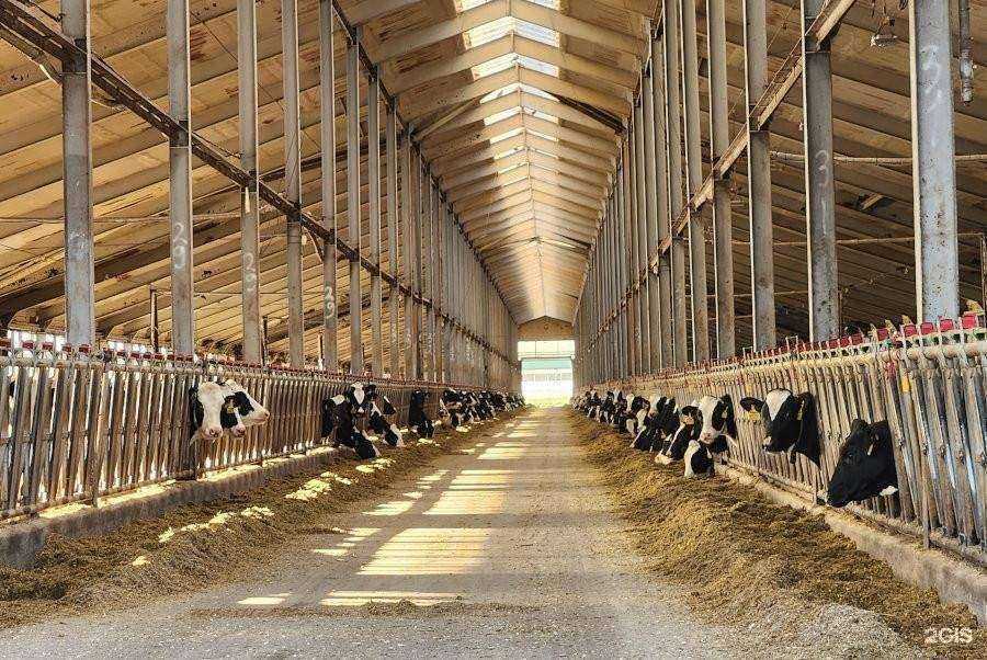 Отзывы на компанию Углич-онлайн в Угличе c фото