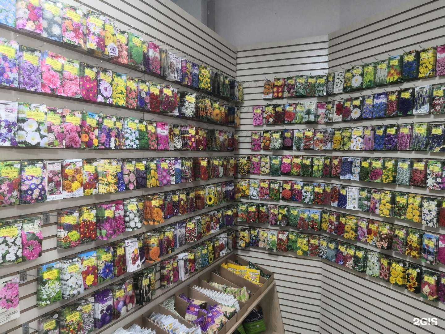 Отзывы на компанию Гавриш39 в Калининграде c фото