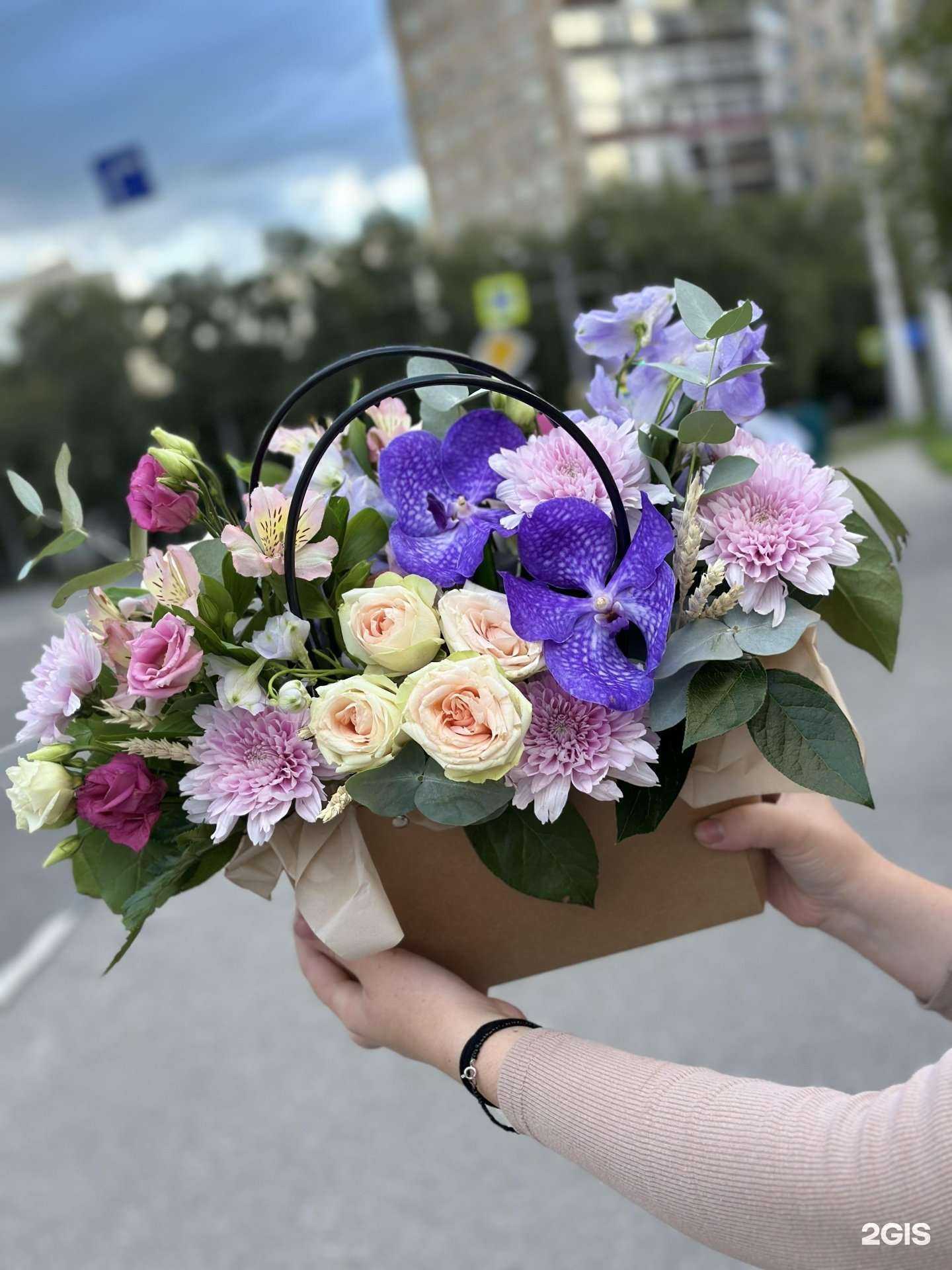 Отзывы на компанию Литония в Новокузнецке c фото